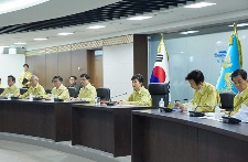 2015년 을지국가안전보장회의